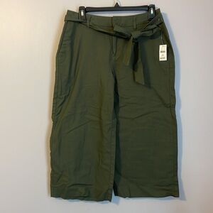 Gap Green Douglas Fir Color Wide Leg Capri Gaucho Pants size 4R